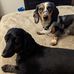 Carrie Weldon - Facebook