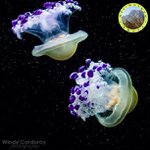 Carrie Westfall - @loudcorex - Instagram