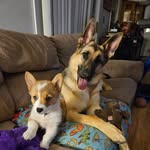 Carrie - @carrie.wicker14 - Instagram