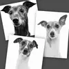 Cari Wickens - @cariwhippets - TikTok