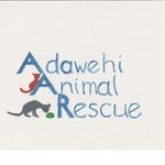 Carrie Lynn Wilcox - @adawehi_rescue - Instagram