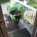 Carrie Wilcox - Facebook