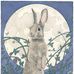 Carrie Wild - Wildworks - Facebook