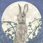 Carrie Wild - Wildworks - @carriewild_wildworks - Instagram