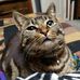 Carrie Wilder - Facebook
