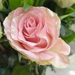 Carrie-Anne Wilhelm - @c_a_wilhelm - Instagram
