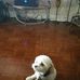 Carrie Willard - Facebook