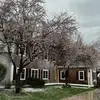 Carrie Willis - @carrie.willis79 - TikTok