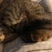 Carolyn Winchell - Facebook
