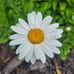 Carrie Windsor-Reed - Facebook