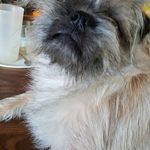 Carrie Winfrey - @carrie.winfrey.98 - Instagram