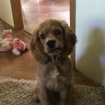 Carrie Wing Franzen - @rierie1976 - Instagram