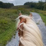 Carrie Wise - @carrieandmonkey - Instagram