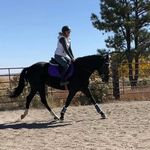 Carrie Wolff - @gemmasgeriatricpassenger - Instagram