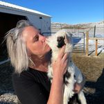 Carrie Woolston Gilbertson - @carriegilbertson - Instagram