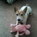 Carrie Workman - Facebook