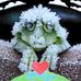 Carrie Feulner Worrell - Facebook