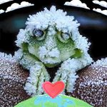 Carrie Feulner Worrell - @ninster4 - Instagram