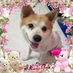 Carrie Yang - Facebook