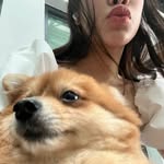 carrie yap - @carrieeyap - Instagram