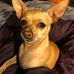 Carrie Yee - Facebook