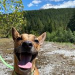 Carrie Yoder - @swissmissthefirst - Instagram