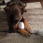 carrie younger - @younger4538 - Instagram