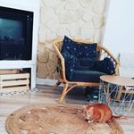 Carroll Barretto - @carrollbarretto - Instagram