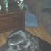 Barron Carroll - Facebook