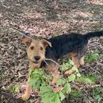 Carroll Koon - @carrollkoon66 - Instagram