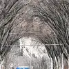 carrythomas830 - @carrythomas830 - TikTok