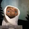 Carson_Brooks17 - @carson_brooks379 - TikTok