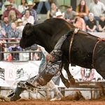 carson - @carsonbrooks24 - Instagram