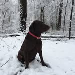 Bruno - @iam_bruno_carson - Instagram
