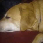 Carson Bruno - Facebook