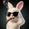 Carson Chen - @carson.chen260 - TikTok