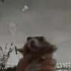 carson_chenn - @carsonn_chen - TikTok