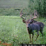 LOVE Hunting and fishing. - @carson_church - Instagram