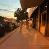 @carsynclegg - @carsynpclegg - TikTok