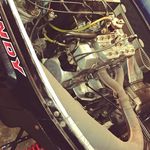 Carson Cross - @carsoncross2008 - Instagram