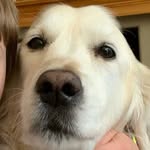 Carson Darling - @carson_darling331 - Instagram