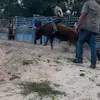 carsondavis - @carsondavis87 - TikTok