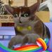 Carson Dye - Facebook