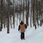 Carson Dyer⚽️⛷ - @carson_dyer15 - Instagram