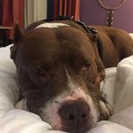 Carson Hunter Dye - @carsondye132 - Instagram