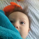 Carsonfields - @carsonfields05 - Instagram