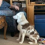 Judi Carson Flowers - @jiffy48x3 - Instagram