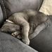 Carson Gill - Facebook