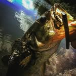 YHFA - @2nd_founder_carson_gross - Instagram