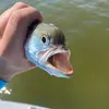Carson_Hall05 - @carson_hall05 - TikTok
